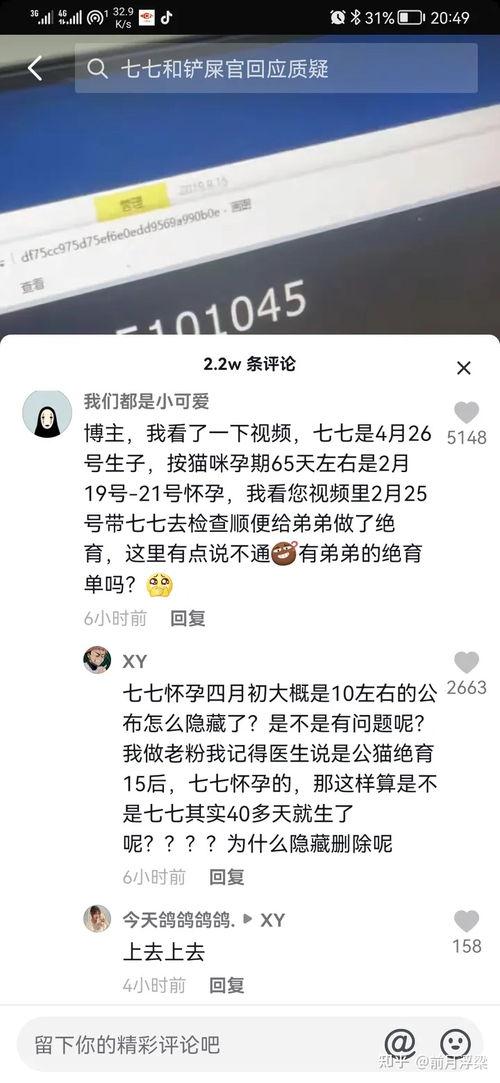 娱乐吃瓜博主起名字